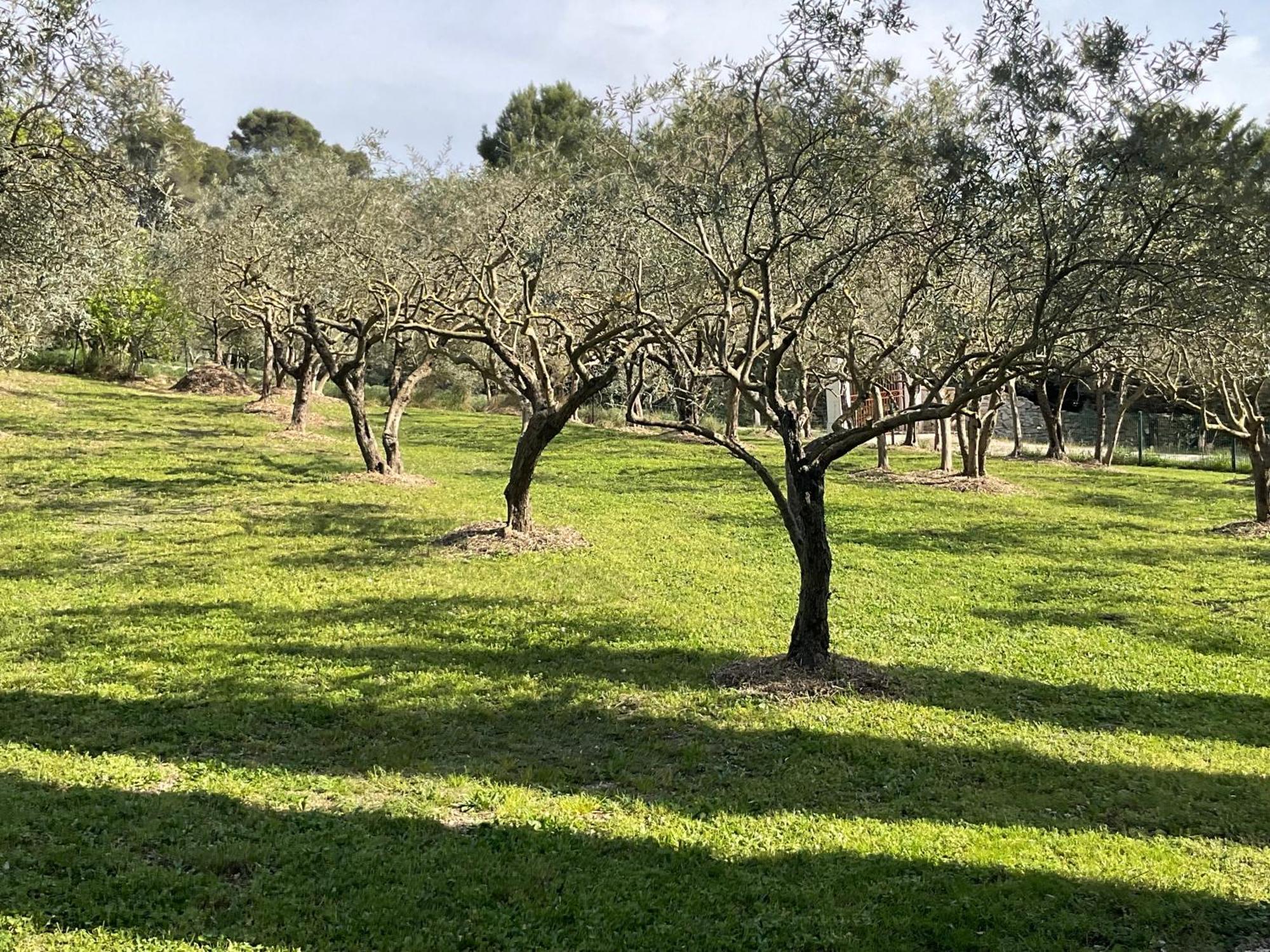 Mas La Floreline Cheval-Blanc Bagian luar foto